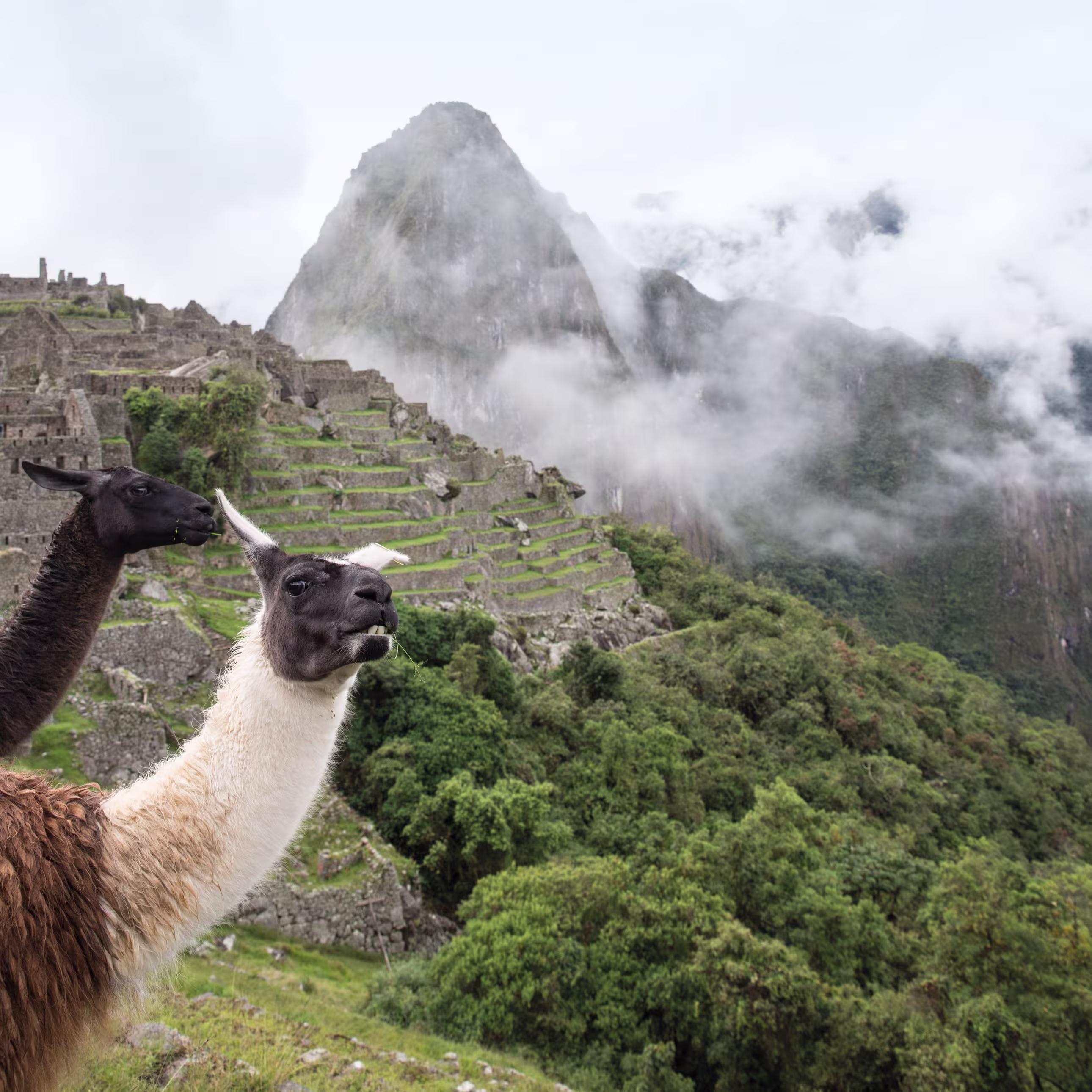 View of Huayna Picchu