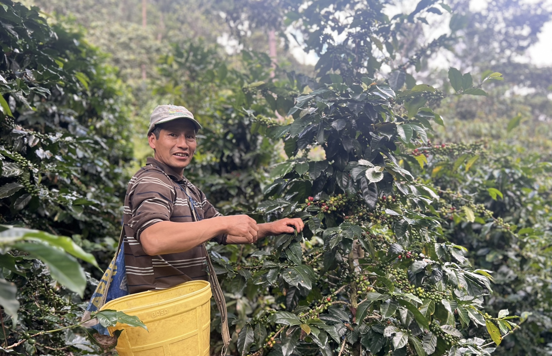 Coffee Tour Santa Teresa