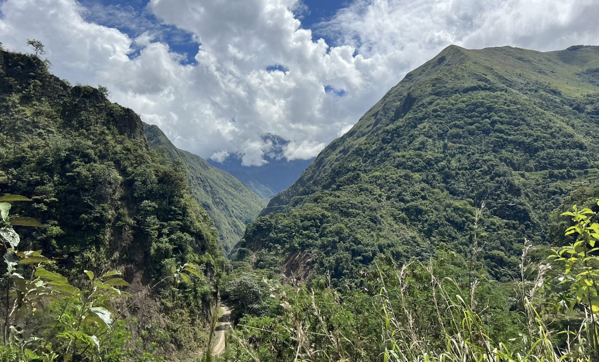 Specialty coffee experience in Cusco